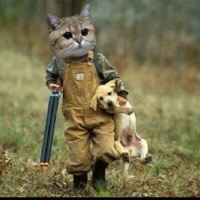 Profile Picture of Mohammed Al Mansouri (@Mo_AlMansouri) on Twitter