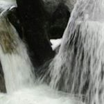 Profile Picture of Michelle O'Keeffe (@michelle.okeeffe.37) on Instagram