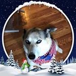 Profile Picture of Jim McKinley (@jimmckinley6249) on Instagram