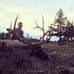 Profile Picture of Matt Haring (@matt.haring.1) on Facebook