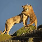 Profile Picture of Richard Jerez (@richard.jerez.7796) on Instagram