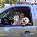 Profile Picture of Edward Purcell Sr. (@Edward-Purcell-Sr) on Facebook