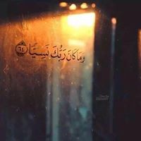 Profile Picture of Noha Ibrahim (@noha-ibrahim-14) on Quora
