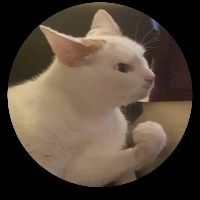 Profile Picture of TANYAPATTERSON (@tanyapatterson20037) on Tiktok