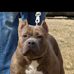 Profile Picture of Keith Dockins (@profile.php) on Facebook