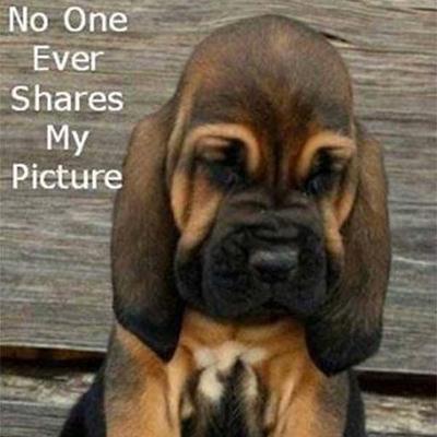 Profile Picture of Jimmy Ratcliff (@JRPerform) on Twitter