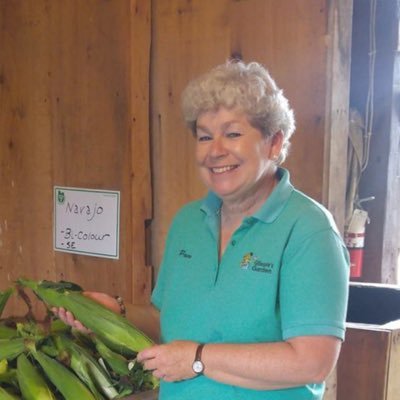 Profile Picture of @ElectPamGILLESPIEWard4 (@ElectPamGILLES1) on Twitter