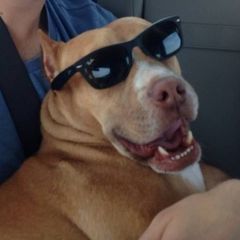 Eric Nickerson - Tiktok Profile Picture of Eric Nickerson (@ericnickerson357) on Tiktok