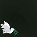 Elbert Shiny - Instagram Profile Picture of Elbert Shiny (@albert_shinny) on Instagram