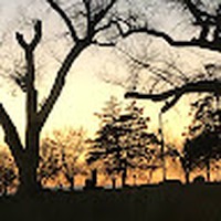 Profile Picture of Bobby Clifford (@bobby-clifford-9) on Quora