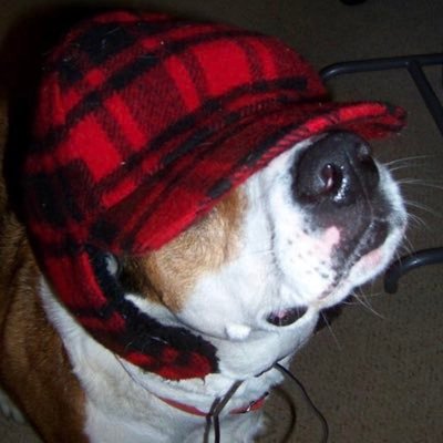 Profile Picture of MATTHEW ASHBURN (@matashb123) on Twitter