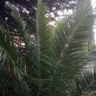 Profile Picture of Adam dreyfus (@dreyfusadam) on Instagram