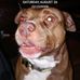 Profile Picture of Marilyn Schulz (@marilyn.schulz.779) on Facebook