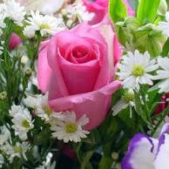 Harry Sharma - Twitter Profile Picture of Harry Sharma (@harrysharma23) on Twitter