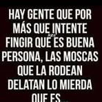 Profile Picture of Denis Canache (@denis.canache.758) on Facebook