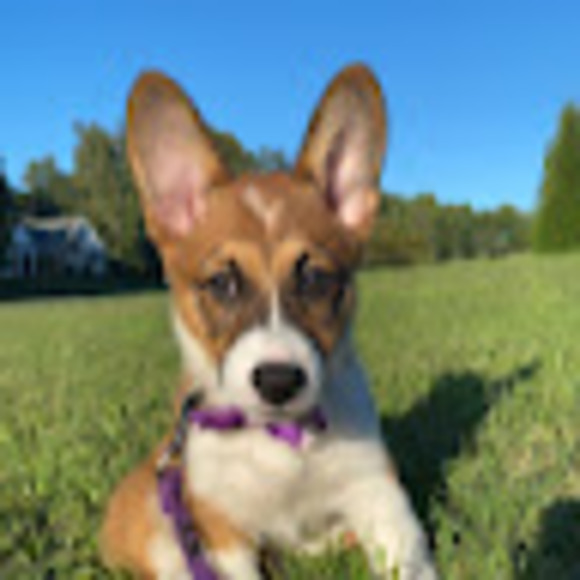 Profile Picture of Michaela Barringer (@michbarr99) on Poshmark