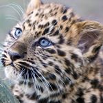 Profile Picture of Leisa Harvey (@leisa_h_88) on Instagram