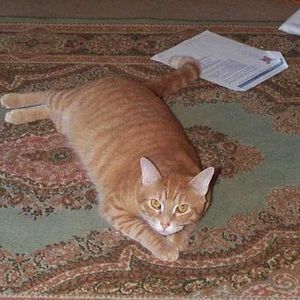 Gina Davidson - Myspace Profile Picture of Gina Davidson (@faeriearwyn) on Myspace