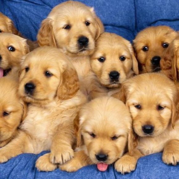 Profile Picture of Loretta Jones (@lorettajones764) on Poshmark