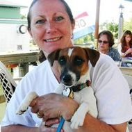 Profile Picture of Lisa Cappucci (@lisa7769) on Pinterest