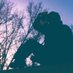 Profile Picture of Travis Rupert (@6d_Shooter) on Twitter