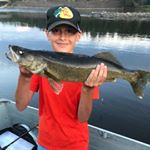 Profile Picture of Colin Griffiths (@colin_griffiths2) on Instagram