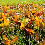 Profile Picture of Ryan Recker (@reckerstudios) on Instagram