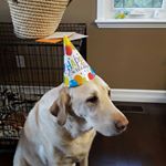 Adam Weese - Instagram Profile Picture of Adam Weese (@adamweese_reeldistraction) on Instagram