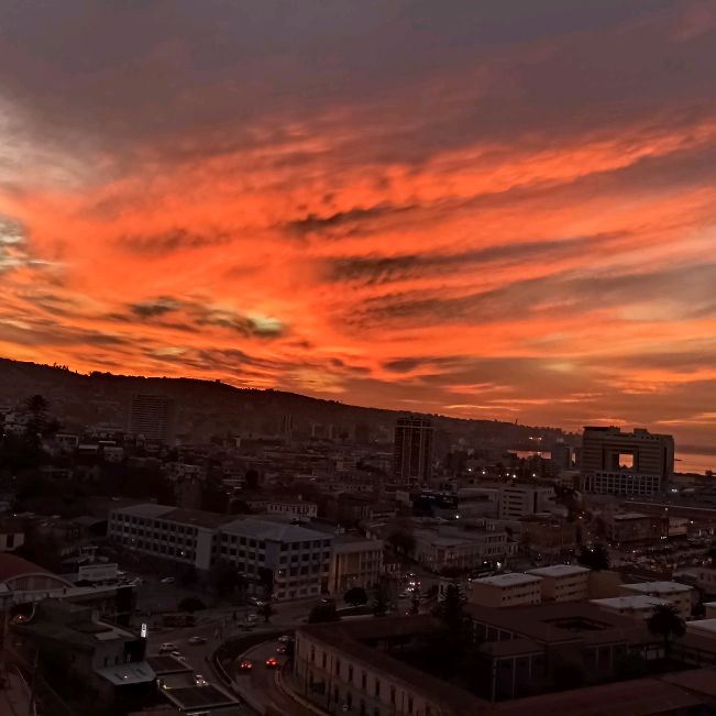 Edgardo_Alexander_11 - Tiktok Profile Picture of Edgardo_Alexander_11 (@alexander_albanez) on Tiktok