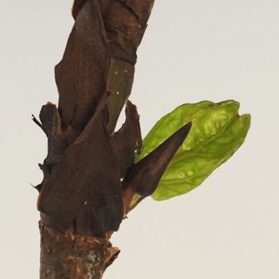 Profile Picture of Shawn Neilsen (@neilsenshawn) on Twitter