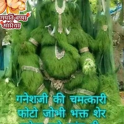 Profile Picture of Ashok_Thakrani (@adam_mcglaughlinn) on Tiktok