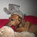 Profile Picture of Lori Lee Schrank (@Lori-Lee-Schrank) on Facebook