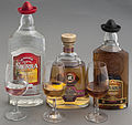 Profile Picture of Tequilaon Wikipedia