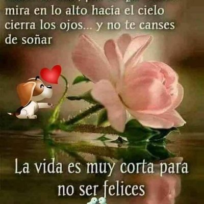 Profile Picture of Domingo René Ignacio (@DomingoRenIgna1) on Twitter