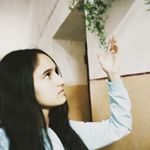 🍃ira🍃 - Instagram Profile Picture of 🍃ira🍃 (@simply_stranger_) on Instagram