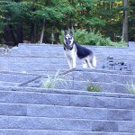 Profile Picture of Christopher Wiggins (@cwiggins07) on Instagram