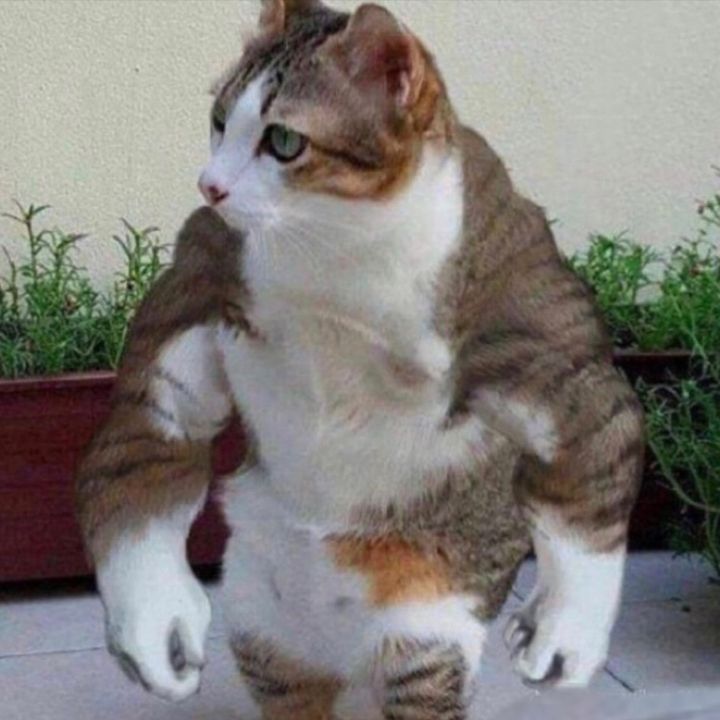 Profile Picture of Aaron White (@aaron_wwhite) on Tiktok