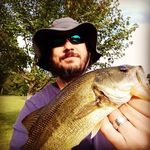Profile Picture of Jason Eckstein (@chicorycatch) on Instagram