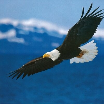 Profile Picture of Eddie Cuellar (@mhcio) on Twitter