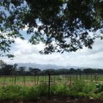 Profile Picture of Alber Argijo (@Alber-Argijo) on Facebook