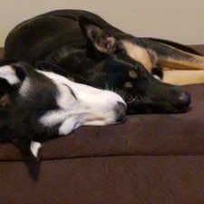 Profile Picture of Katherine Abrams (@Katheri54528995) on Twitter