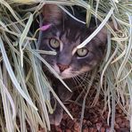 Jean Riddell (Howie) - Facebook Profile Picture of Jean Riddell (Howie) (@jean.riddell.980) on Facebook