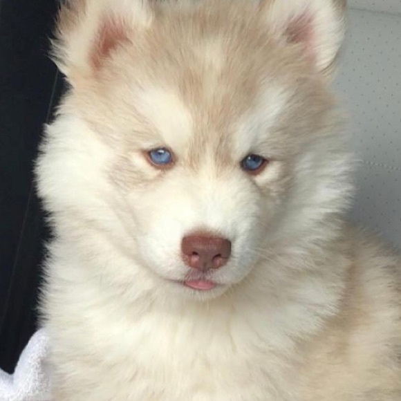 Profile Picture of Cody Woolley (@codywoolley77) on Poshmark