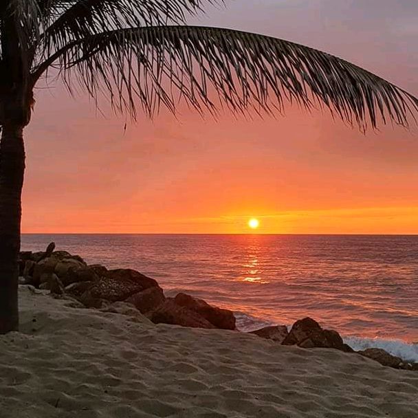 Profile Picture of Robert scorpio (@robertscorpio1) on Tiktok