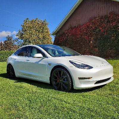 Profile Picture of Steven Tremblay (@TremblaySteven4) on Twitter