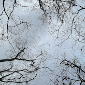 Profile Picture of Cindy Rodriguez (@cindyrodriguez-o7y) on Youtube