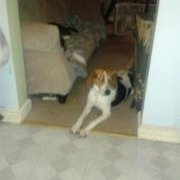 Profile Picture of Steve Wlock (@steve.wlock) on Myspace