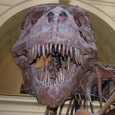 Profile Picture of Justin Hammitt (@hambone55767) on Twitter