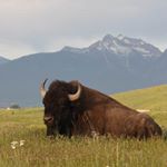 Profile Picture of Mark Hubbard (@mark.hubbard.73345) on Instagram