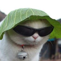 Profile Picture of Samuel Hackwell (@samuel-hackwell-2) on Quora